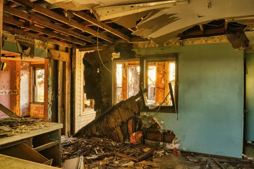 Tracy's Trusted Mold Abatement Specialists — Tracy, CA