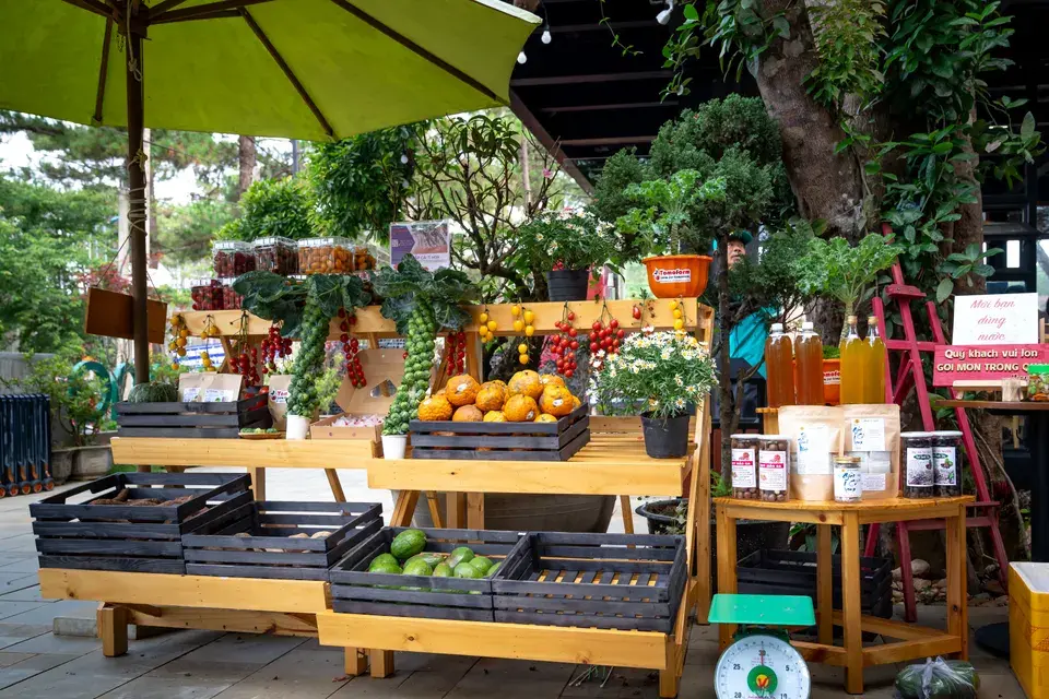 Serving All Neighborhoods Near Discovery Bay Landmarks in Discovery Bay